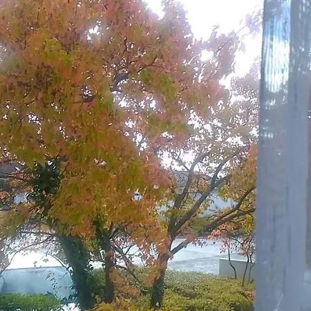 아파트 Ankommen Und Wohlfuehlen