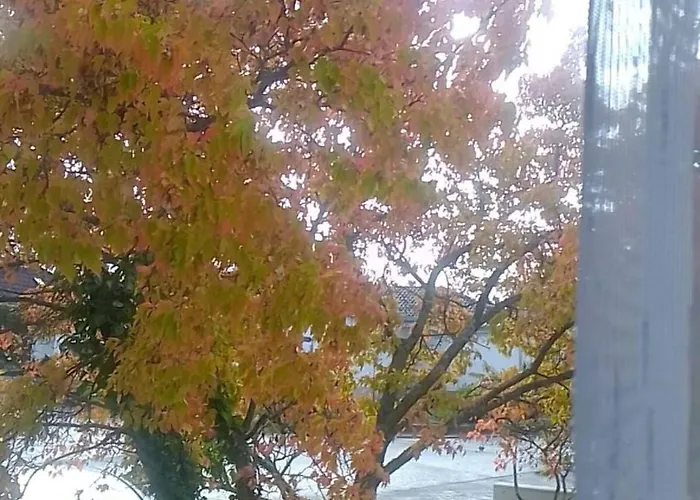 아파트 Ankommen Und Wohlfuehlen